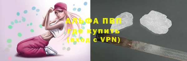 соль ск Алексин