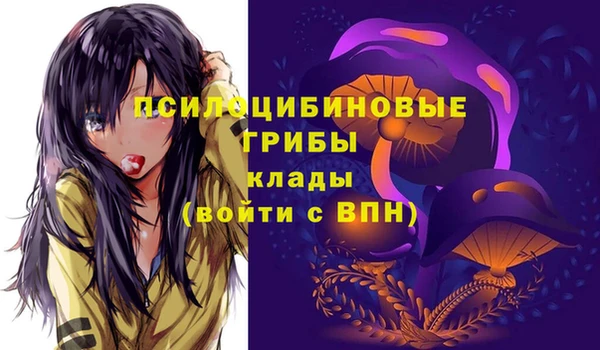 соль ск Алексин