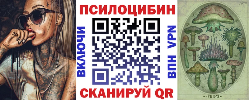 закладки Буй Псилоцибиновые грибы Psilocybine cubensis